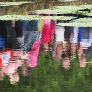 Reflekterar i vattnet