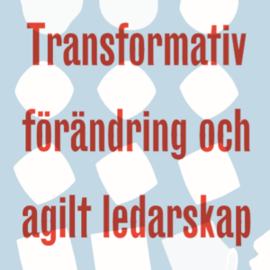 Read more about the article Leda i transformativ förändring